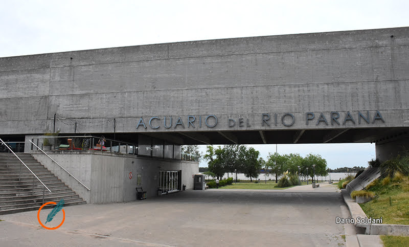 Con actividades gratuitas y el show de Mamita Peyote, el Acuario del Paraná celebrará su octavo aniversario