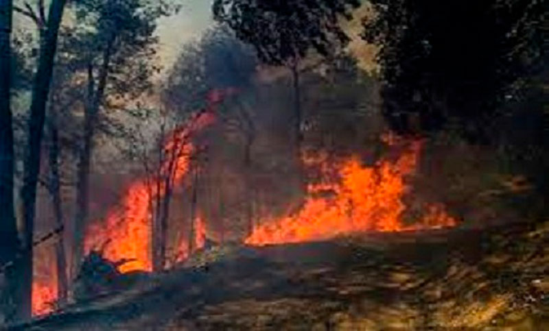 Alerta por nuevos incendios en el Parque Nacional Los Alerces: dos focos activos