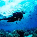 Desesperada búsqueda de una joven que practicaba buceo en Puerto Madryn