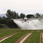 Envenenadores: comienza histórico juicio por fumigación con agrotóxicos en Pergamino