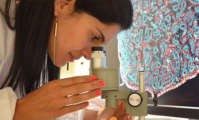 Día de la Mujer y la Niña en la Ciencia: este viernes habrá una feria en Rosario