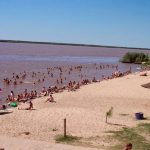 Ataques de palometas en Victoria: unas 40 personas fueron heridas en una playa