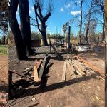 Rescataron a trece niños de un “hogar” en Florencio Varela: eran explotados y vivían en condiciones inhumanas 