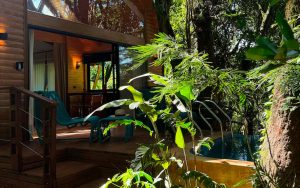 Turismo premium: llega a Iguazú un hotel para dormir entre árboles