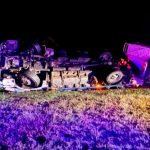 Volcó un camión con ganado vacuno en la autopista Rosario-Santa Fe: rescatan a un niño atrapado