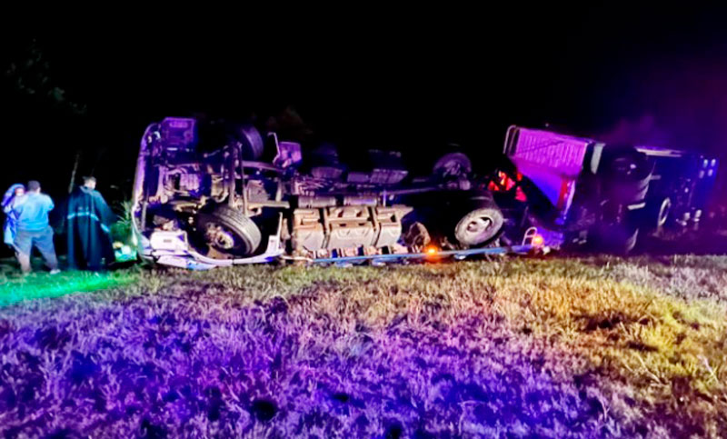 Volcó un camión con ganado vacuno en la autopista Rosario-Santa Fe: rescatan a un niño atrapado