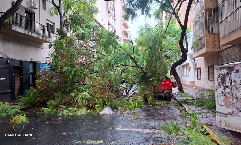 Fuerte tormenta en Rosario: hubo ráfagas de 102 kilómetros por hora y casi 160 árboles caídos