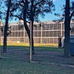 Preocupación por el abrupto inicio de una obra que quita espacio verde al Parque Independencia