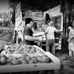 Precarización laboral: cuatro de cada diez trabajadores argentinos son informales