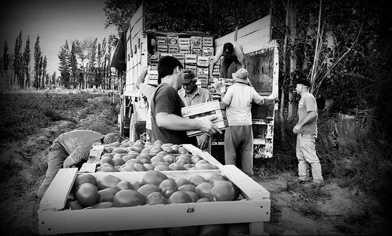 Precarización laboral: cuatro de cada diez trabajadores argentinos son informales
