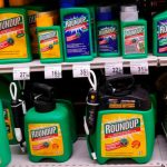 Preocupación por el crecimiento de los pesticidas, mientras la Corte Suprema norteamericana analiza el caso Bayer