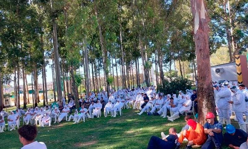 Granja Tres Arroyos suspendió a 200 trabajadores e insiste con el pago de salarios en cuotas