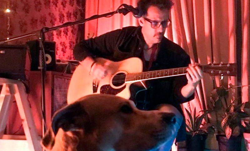 Nico Merkin ofrecerá un concierto acústico junto a su perro Serú
