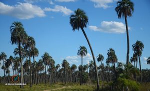 San José, entre las Playas de Colón, los Palmares y las termas de Villa Elisa