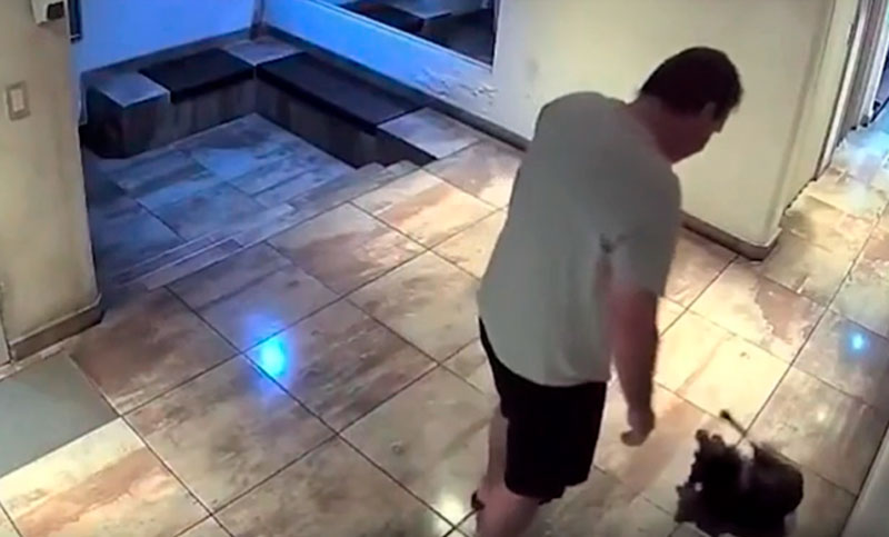 Maltrato animal: detuvieron a un hombre tras azotar a su perro contra el piso