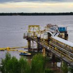 Una invasión de camalotes en el Paraná generó cortes de agua en Rosario, Villa Gobernador Gálvez y Funes