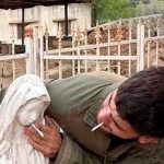 Castigan con prisión militar a soldados israelíes acusados de profanar una estatua de la Virgen María