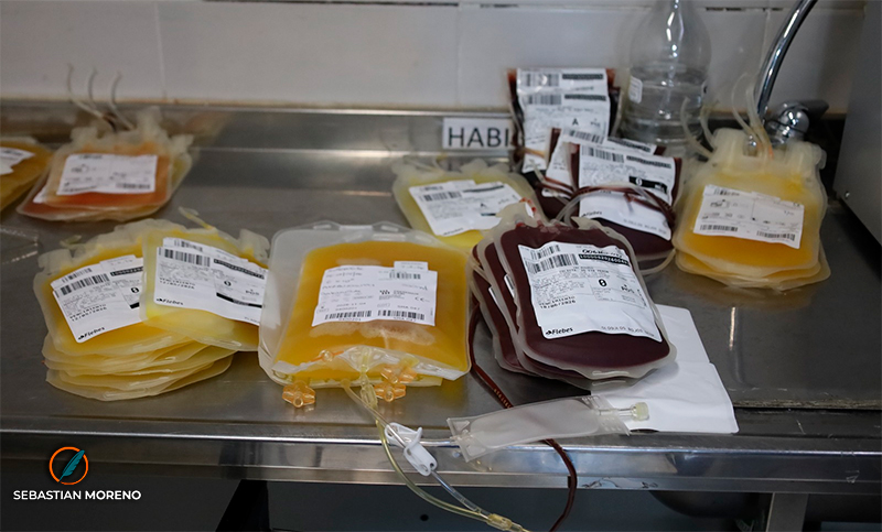 Santa Fe apuesta a la donación voluntaria: ¿qué procesos se le hacen a la sangre antes de las transfusiones?
