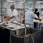 Un pedido que despertó ilusiones: trabajadores del frigorífico Euro volvieron a producir después de siete meses