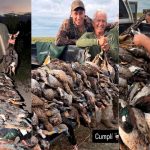 Masacre de fauna en Santa Fe: denuncian la matanza ilegal de más de 300 animales silvestres protegidos