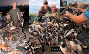Masacre de fauna en Santa Fe: denuncian la matanza ilegal de más de 300 animales silvestres protegidos
