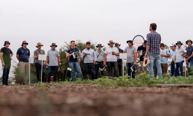 Otra empresa deja el país: la alemana Helm se va de la Argentina por fuerte caída en las ventas