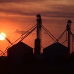 Tras la caída de febrero, hubo leve repunte de la actividad económica: ¿qué actividades y sectores impulsaron la suba?