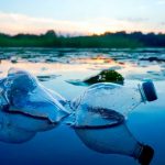 Día Mundial del Medio Ambiente 2026: un llamado urgente a acelerar la acción climática