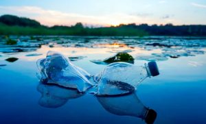 Día Mundial del Medio Ambiente 2026: un llamado urgente a acelerar la acción climática