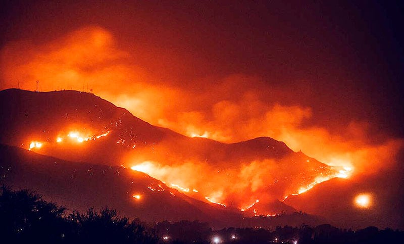 Sudamérica lideró la pérdida de bosques en la última década y crece la preocupación por el avance de la deforestación