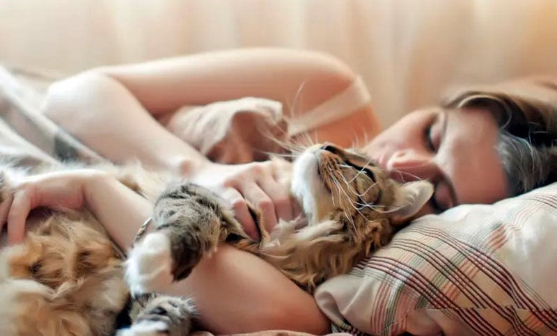 Dormir con el gato en la cama sí o no: qué dicen los expertos sobre una costumbre que divide opiniones