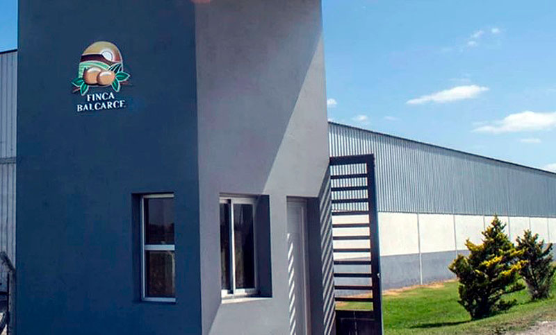 Cerró una histórica fábrica de papas y 50 familias quedaron sin trabajo