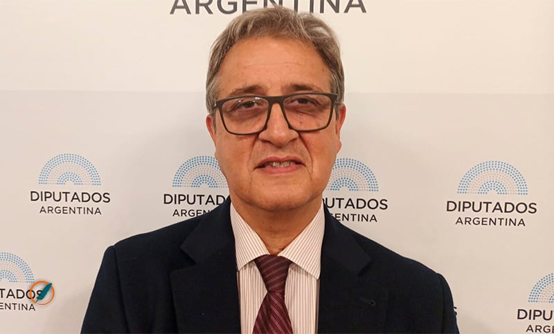 Falcone propone vincular los beneficios del Súper RIGI con inversiones en ciencia, tecnología y educación