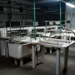 La destrucción de empresas se aceleró tras la llegada de Milei y marcó el peor registro en 20 años