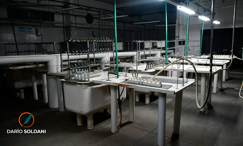 La destrucción de empresas se aceleró tras la llegada de Milei y marcó el peor registro en 20 años