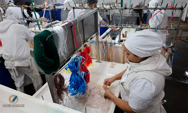 Los trabajadores de Euro continúan con la producción mientras aguardan una salida para la tripería
