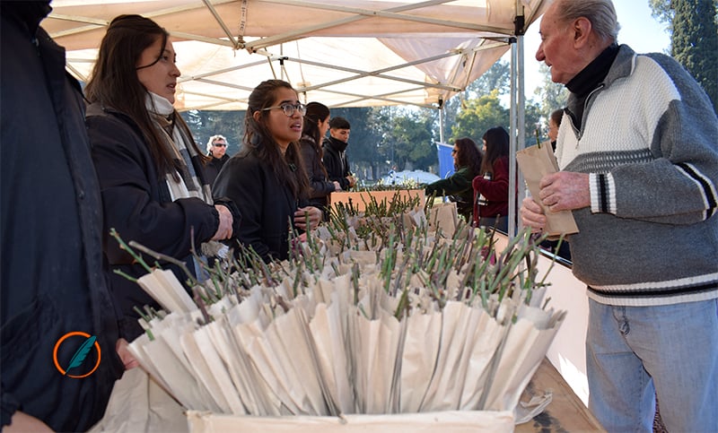 Vuelve la entrega gratuita de esquejes de rosas en el parque Independencia