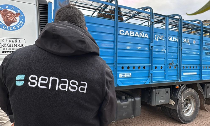 Seguridad alimentaria en peligro: las contradicciones de un modelo que prioriza la exportación y vacía los controles