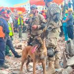 Bart, el perro argentino que se convirtió en héroe al rescatar a dos niños bajo los escombros en Venezuela
