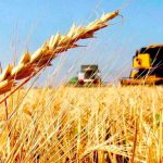 Entra en vigencia la reducción de retenciones para el agro y los biocombustibles