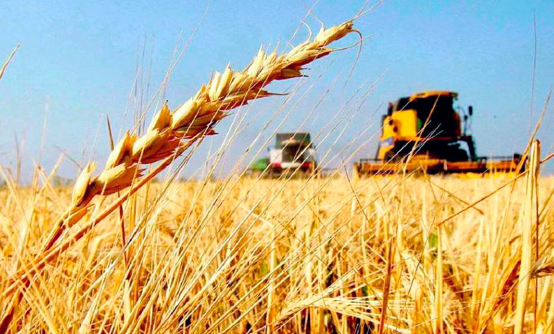 Entra en vigencia la reducción de retenciones para el agro y los biocombustibles