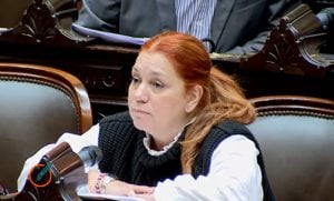 Banfi afirmó «fuimos todos convocados a una sesión”, pero el kirchnerismo «no juntó los votos»