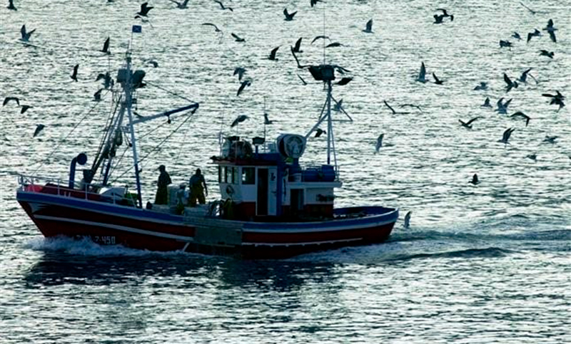 Golpe a la economía, a la fauna y a la soberanía: alertan que la pesca ilegal extrae millones de toneladas de las aguas argentinas