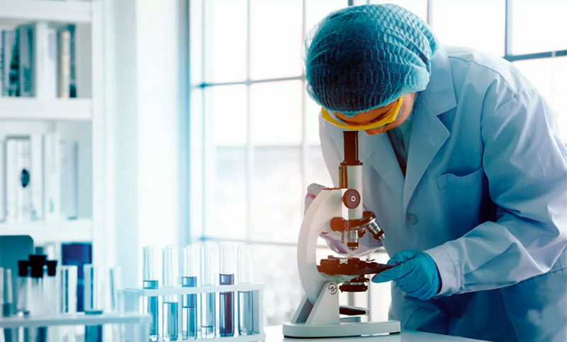 Científicos les enseñan a las células humanas a calcular y a tomar decisiones que abren tratamientos contra el cáncer