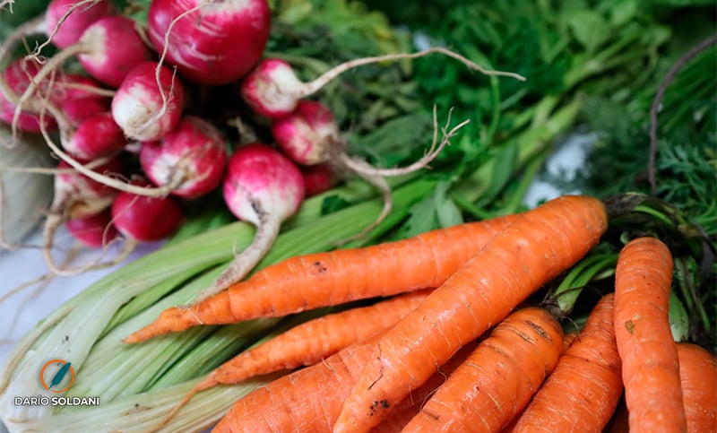 Con fuerte incidencia de carnes y verduras, la inflación de alimentos trepó a 2,4% en la primera semana de julio