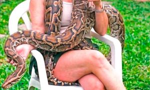 Una familia busca a una boa que tenía como mascota: “Responde a su nombre”