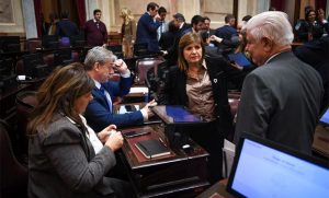Bullrich: “Un extranjero no puede tener limitaciones para comprar tierras, no tiene sentido”