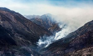 Ambientalistas alertan por los efectos sobre bosques y tierras rurales del proyecto de «inviolabilidad de la propiedad privada»