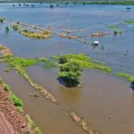 Alertas ante el fenómeno El Niño: ¿cómo impactaría en la economía argentina?