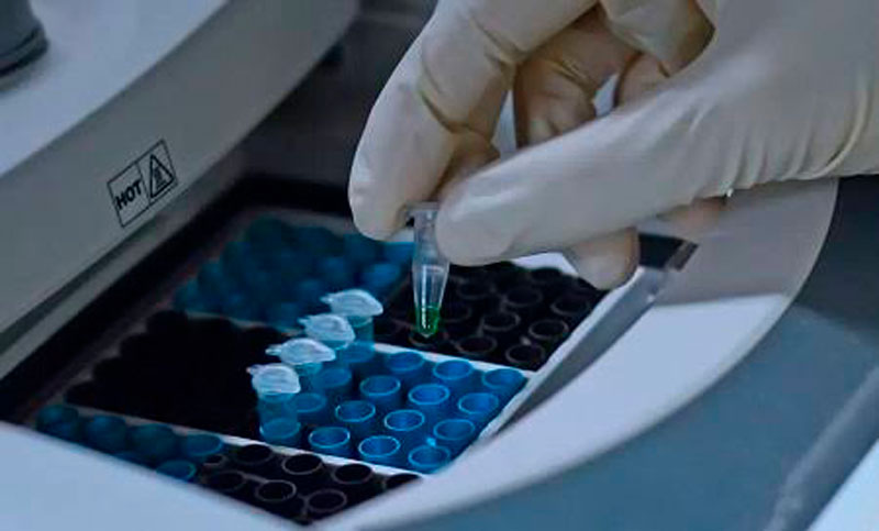 Investigadores desarrollan métodos para combatir el cáncer cerebral agresivo